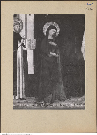 Vorderseite von ICCD [https://www.deutsche-digitale-bibliothek.de/content/lizenzen/rv-ez/] Kreuzigung mit Maria, Johannes, Dominikus und Petrus dem Märtyrer - Maria, bh192817_recto. Foto.