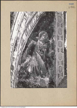 Vorderseite von ICCD [https://www.deutsche-digitale-bibliothek.de/content/lizenzen/rv-ez/] Christus, Verkündigung, Madonna und HeiligenVerkündigung - Engel, bh192851_recto. Foto.