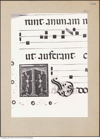 Vorderseite von bh192864_recto