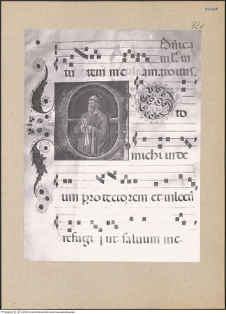 Vorderseite von bh192873_recto