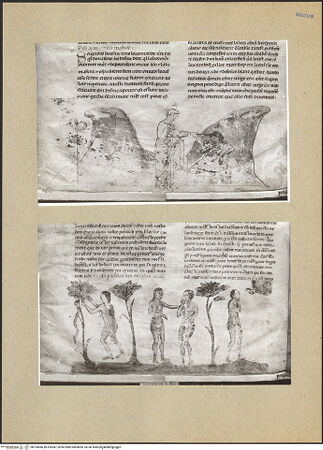 Vorderseite von bh193086_bh193087_recto