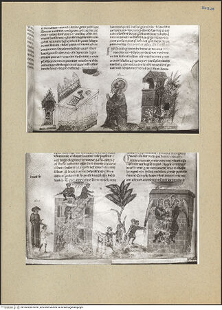 Vorderseite von bh193090_bh193091_recto