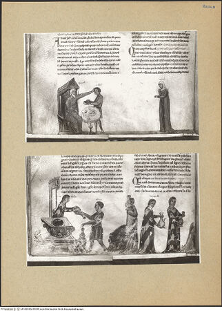 Vorderseite von bh193094_bh193095_recto