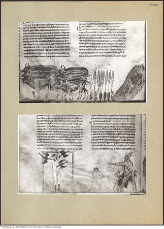 Vorderseite von bh193100_bh193101_recto