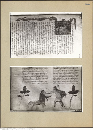 Vorderseite von bh193104_bh193105_recto