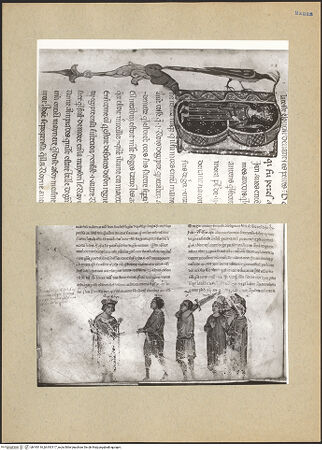 Vorderseite von bh193116_bh193117_recto