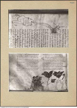 Vorderseite von bh193122_bh193123_recto