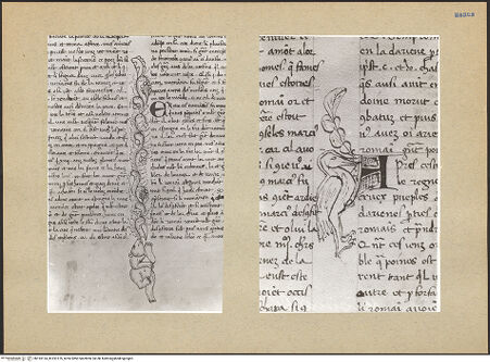 Vorderseite von bh193124_bh193125_recto