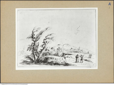 Vorderseite von bh193143_recto