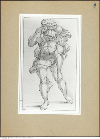 Vorderseite von bh193145_recto