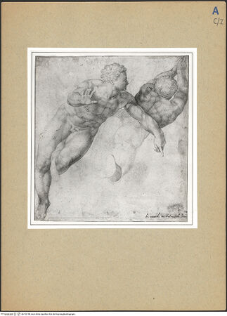 Vorderseite von bh193148_recto