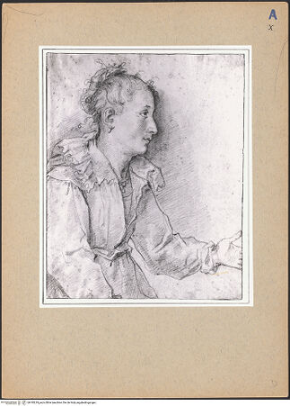 Vorderseite von bh193219_recto