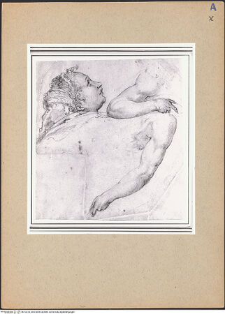 Vorderseite von bh193220_recto