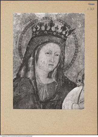 Vorderseite von ICCD [https://www.deutsche-digitale-bibliothek.de/content/lizenzen/rv-ez/] Madonna mit Klarissen zwischen den Heiligen Klara und Franziskus - Detail: Kopf Marias, bh193339_recto. Foto.