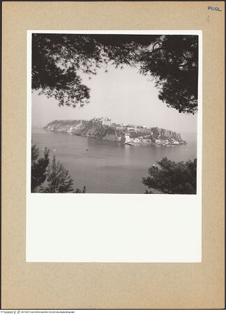 Vorderseite von bh193547_recto