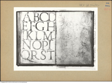 Vorderseite von bh193630_recto