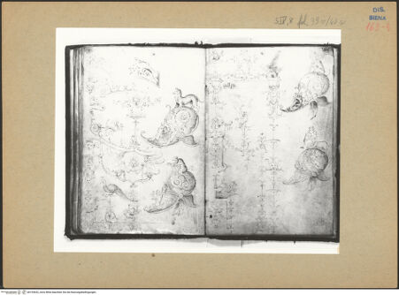 Vorderseite von bh193632_recto