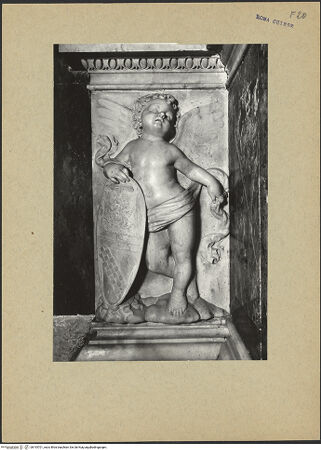 Vorderseite von bh193701_recto