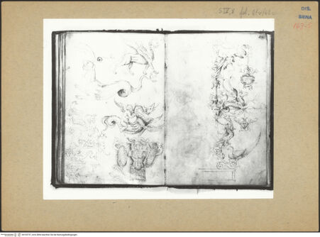 Vorderseite von bh193737_recto