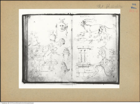 Vorderseite von bh193740_recto