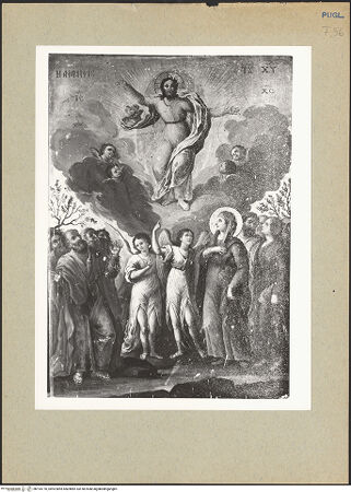 Vorderseite von bh193770_recto