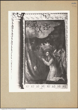 Vorderseite von bh193788_recto