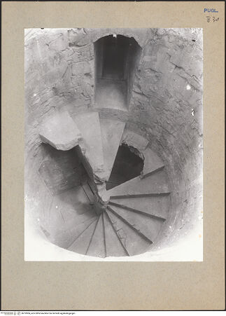 Vorderseite von bh193906_recto