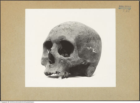 Vorderseite von bh194040_recto