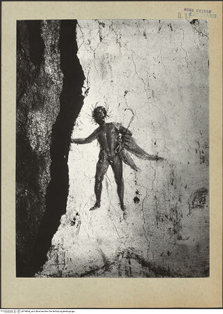 Vorderseite von bh194044_recto