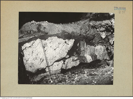 Vorderseite von bh194077_recto