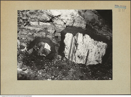 Vorderseite von bh194079_recto