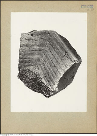 Vorderseite von bh194281_recto