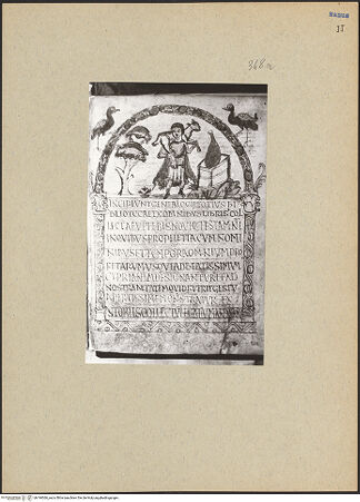 Vorderseite von bh194366_recto