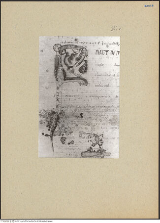 Vorderseite von bh194414_recto