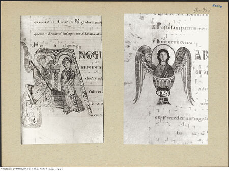 Vorderseite von bh194433_bh194434_recto