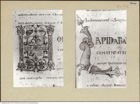 Vorderseite von bh194447_bh194448_recto