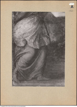 Vorderseite von bh194642_recto