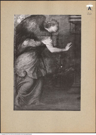 Vorderseite von bh194644_recto