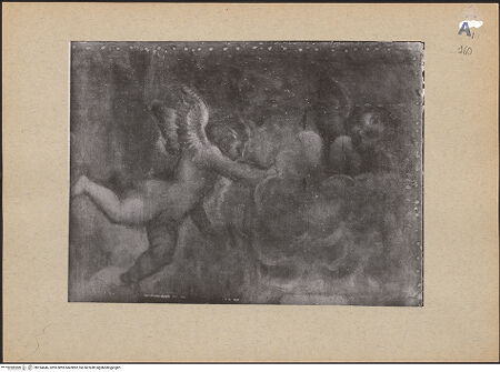 Vorderseite von bh194646_recto