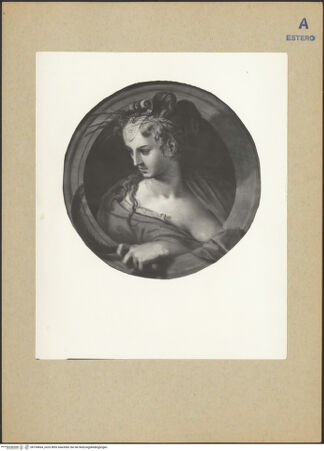 Vorderseite von bh194664_recto