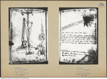 Vorderseite von bh195002_bh195003_recto