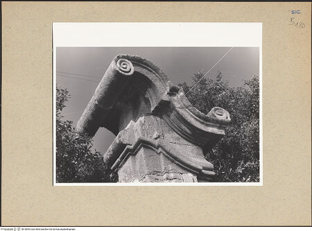 Vorderseite von bh195055_recto