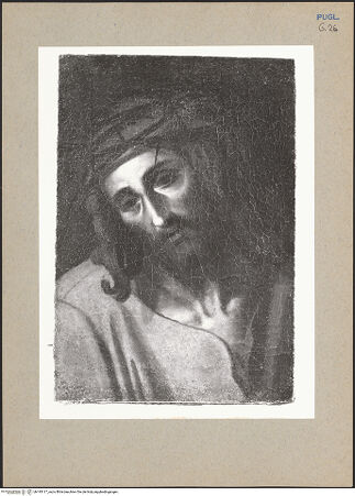 Vorderseite von bh195117_recto