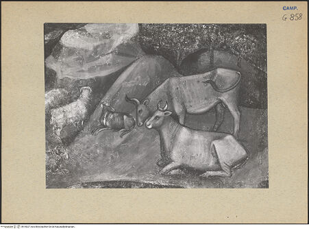 Vorderseite von ICCD [https://www.deutsche-digitale-bibliothek.de/content/lizenzen/rv-ez/] Szenen aus dem Leben MariasGeburt Christi und Verkündigung an die Hirten - Detail der Verkündigung an die Hirten, bh195207_recto. Foto.