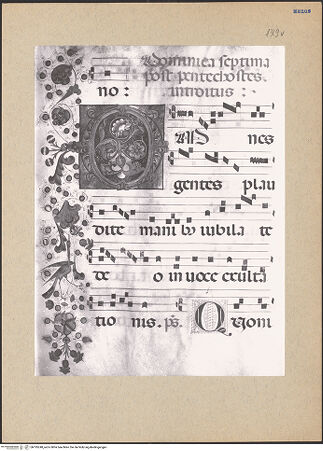 Vorderseite von bh195248_recto