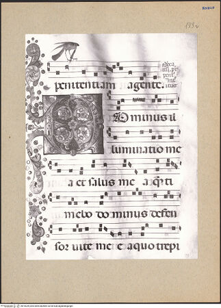 Vorderseite von bh195249_recto