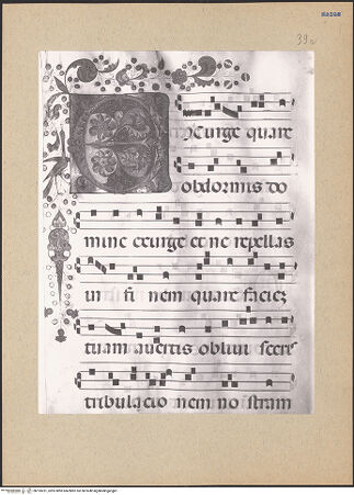 Vorderseite von bh195251_recto