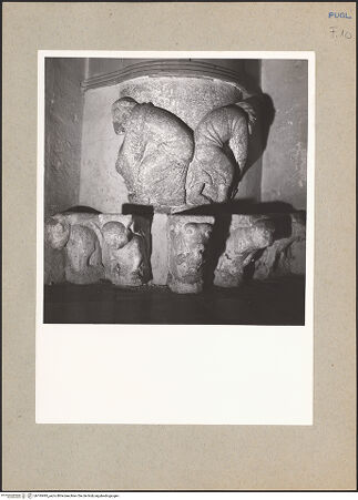 Vorderseite von bh195495_recto