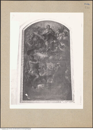 Vorderseite von bh195497_recto