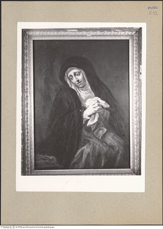 Vorderseite von bh195508_recto